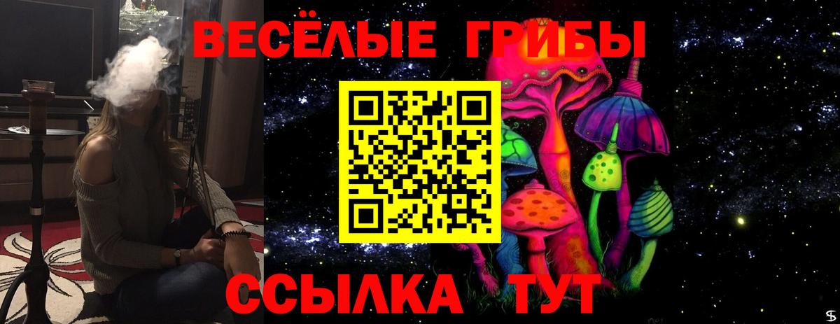 Саяногорск  Галлюциногенные грибы ЛСД  Вход с VPN 